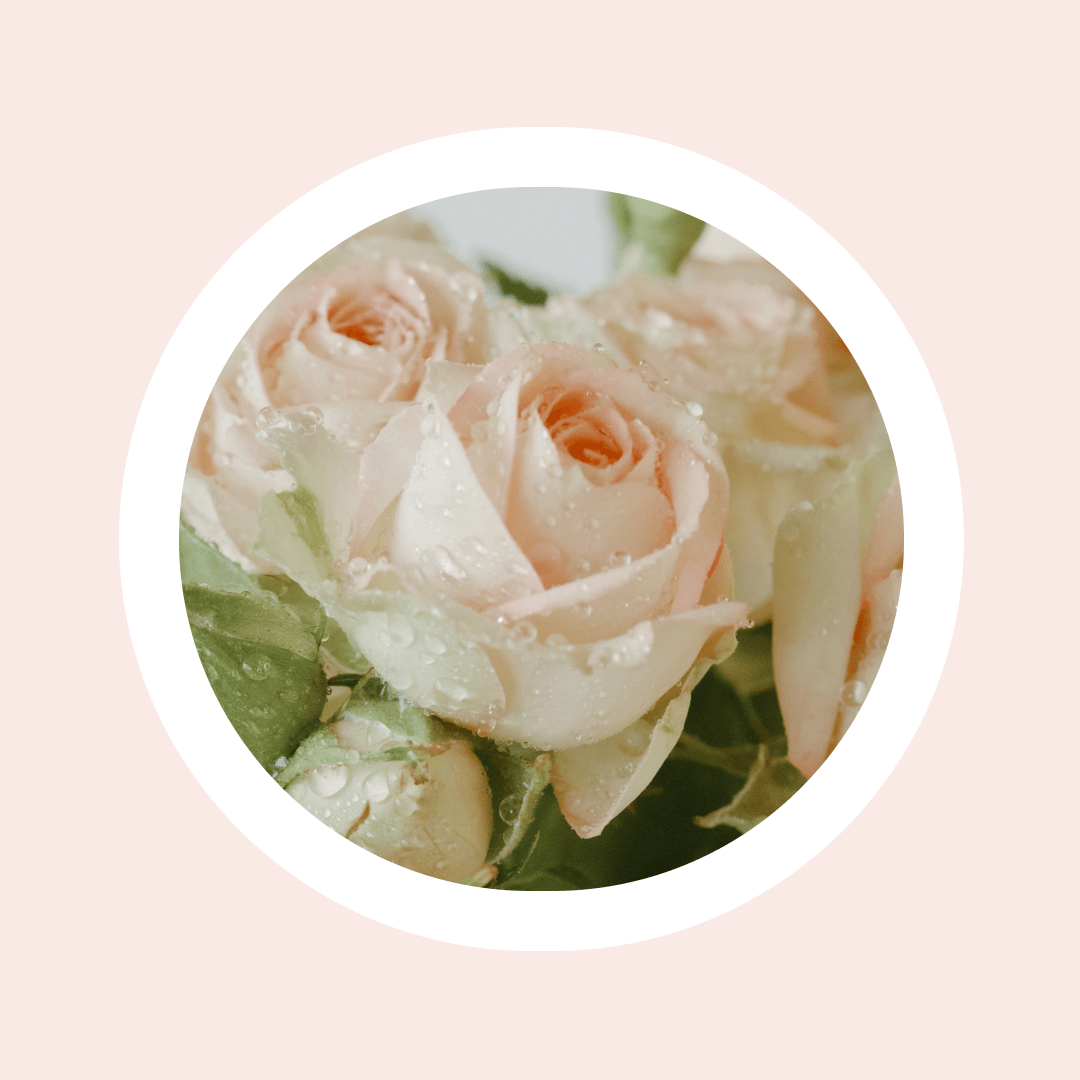 Aceite perfumado de rosas